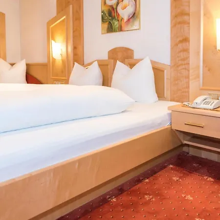 ホテル Alphotel Garni Salner